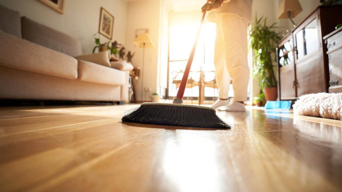  SHINE  - Cling professionnel pour votre espace idéal